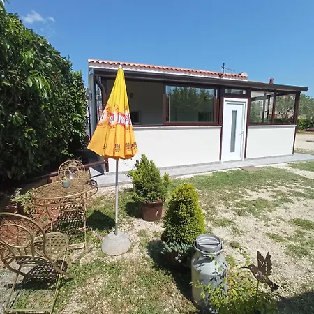 The Golden Well 로비니