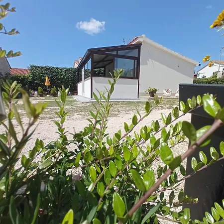 The Golden Well * 로비니